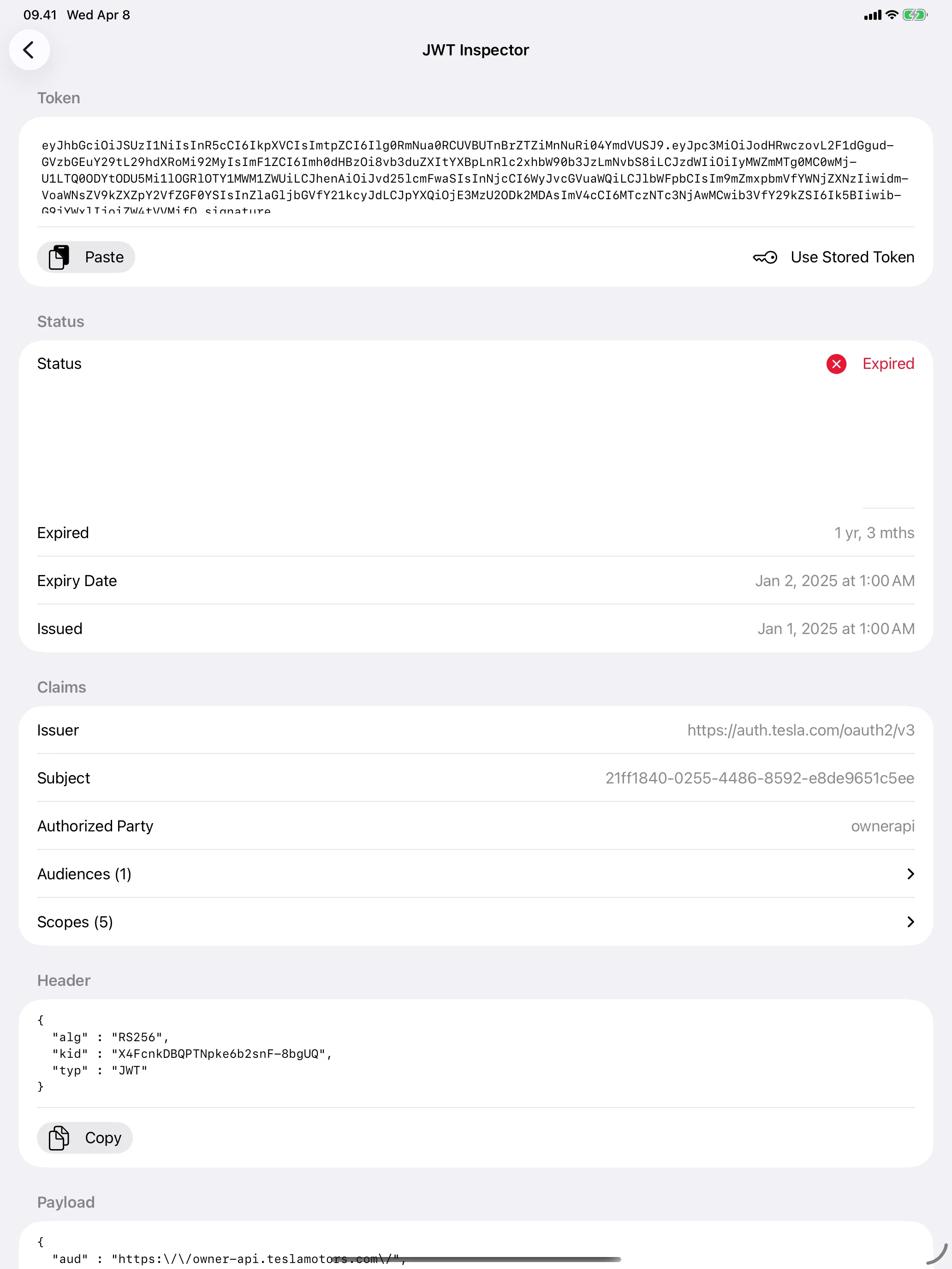 iPad - JWT Inspector