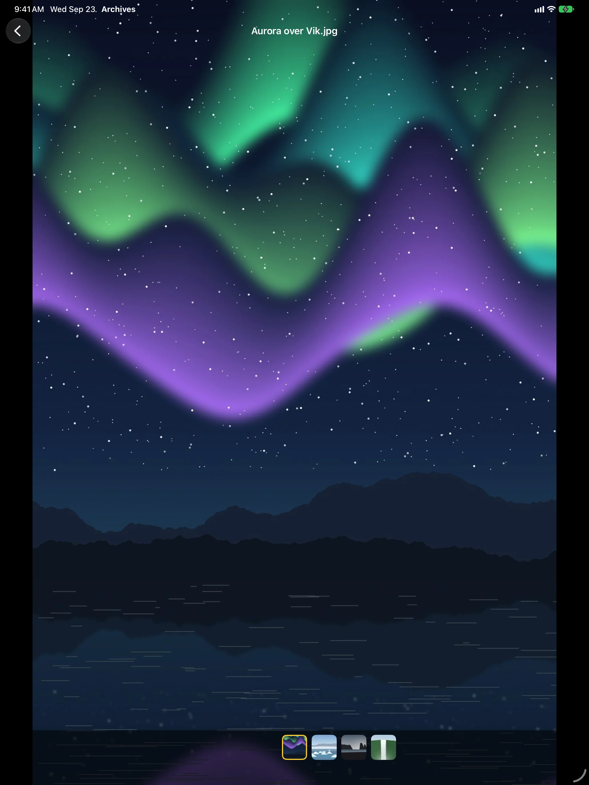 iPad - A photo from the archive in the full-screen viewer with its filmstrip