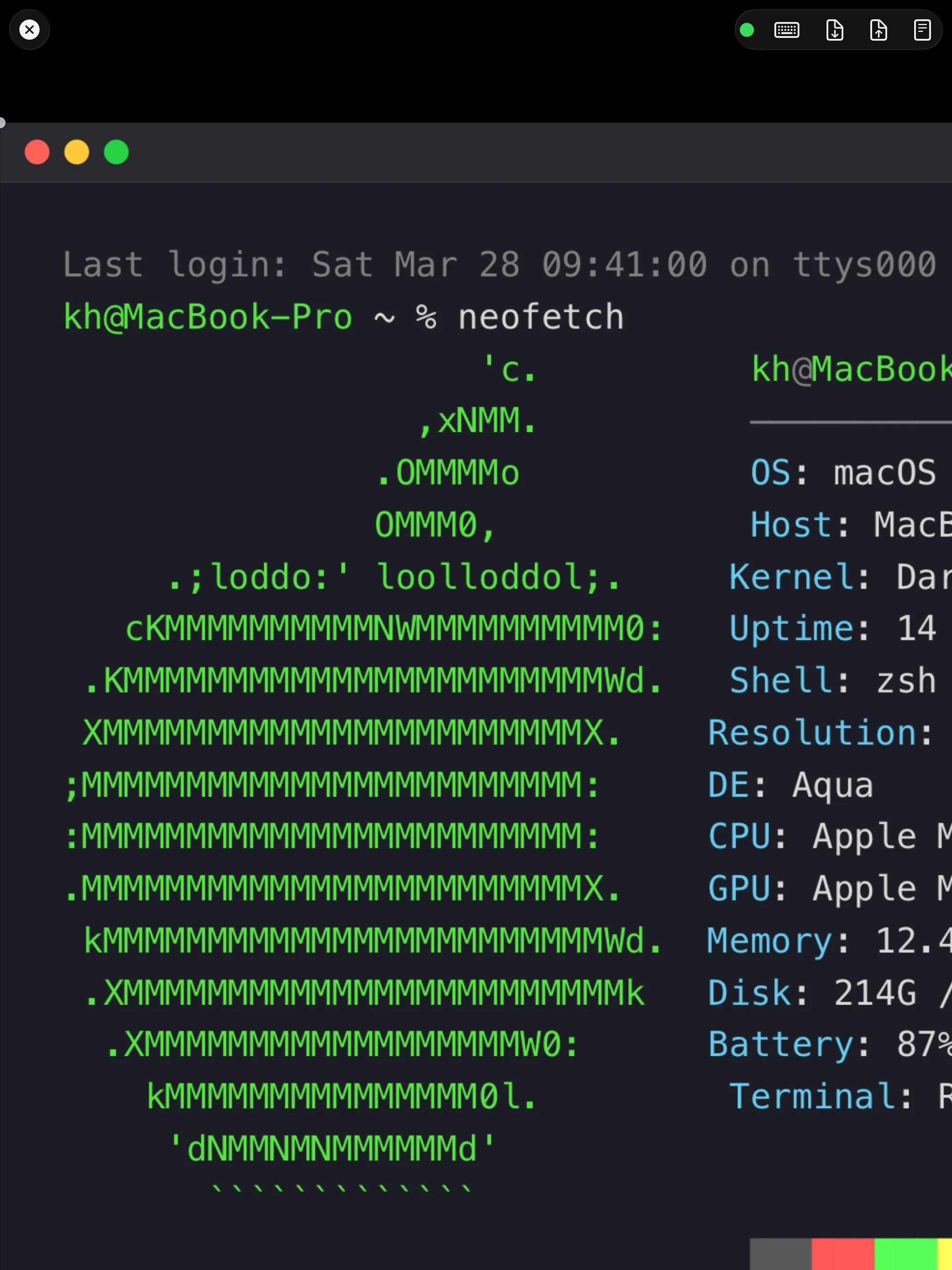 iPad - Remote Session